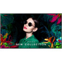 "Samsung Smart Signage QM75C 189.00cm(75"") (Speditionsversand)"