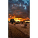 "Samsung Smart Signage VM46B-U 116.80cm(46"") 3.5mm B-to-B (Speditionsversand)"