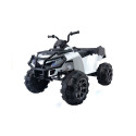 Quad BDM 0909 valge 24V