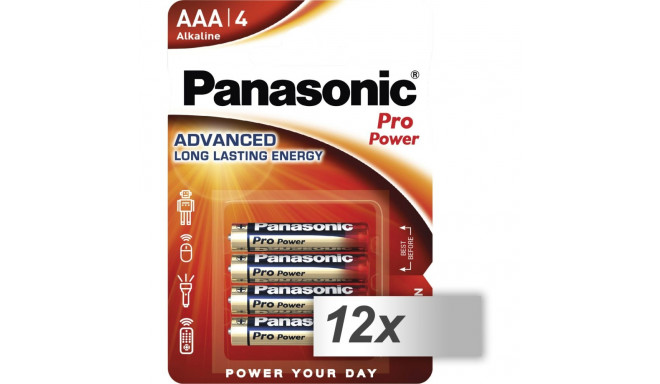 12x4 Panasonic Pro Power LR 03 micro AAA sisekarp