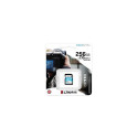 Kingston Canvas Go Plus 256GB