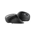 Trust Verro juhtmevaba ergonoomiline hiir (23507)