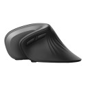 Trust Verro Wireless Ergonomic Mouse (23507)