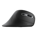 Trust Verro juhtmevaba ergonoomiline hiir (23507)