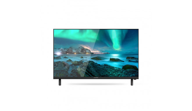 Allview HD Ready LED teler 24ATC6300-H 24 must