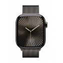 Watch Series 10 GPS + Cellular 46 mm Slate Titanium Case with Slate Milanese Loop - S/M