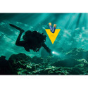 "Batterie AA (LR6) 1.5V *Varta* High Energy - 4-Pack"
