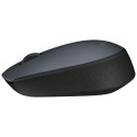 MOUSE USB OPTICAL WRL M170/GREY 910-004642 LOGITECH