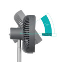 Duux Fan | Rize Flex | Stand Fan | Grey | Diameter 21 cm | Number of speeds 4 | Oscillation | 10 W |
