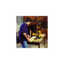 DeWALT DW733 benchtop/thickness planer 1800 W 10000 RPM