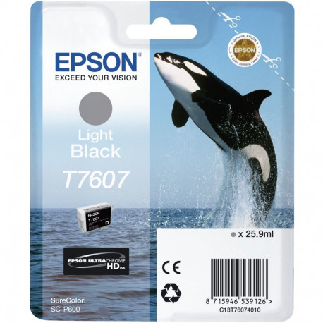 "Epson C13T76074010 light black"