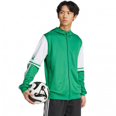 Adidas meeste pusa Squadra 25 Hoody JP3164 S, roheline-valge