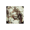 Microscope Levenhuk Rainbow 50L PLUS Moonstone 64x–1280x with experimental kit K50