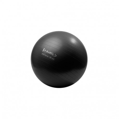 HMS Exercise Ball YB02 Anti-Burst 65cm black (17-42-122)