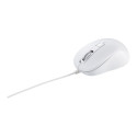 Asus | Blue Ray Mouse | MU101C | Optical USB mouse | White