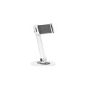 NEOMOUNTS TABLET ACC STAND WHITE/DS15-540WH1