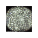 Microscope Levenhuk Rainbow 50L PLUS Amethyst 64x–1280x with experimental kit K50