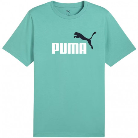 Puma meeste t-särk Ess 2 Color No.1 Logo 684708 59 S, mündiroheline