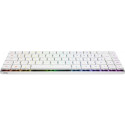 "Asus Tastatur ROG Falchion RX LP RL Gaming Tastatur Swiss"