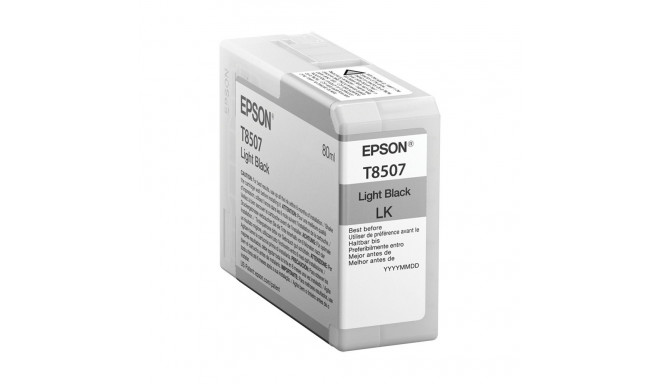 "Epson C13T850700 light black"