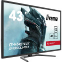 "IIYAMA 108cm (43"") G4380UHSU-B1 16:9 2xHDMI+DP+USB black"