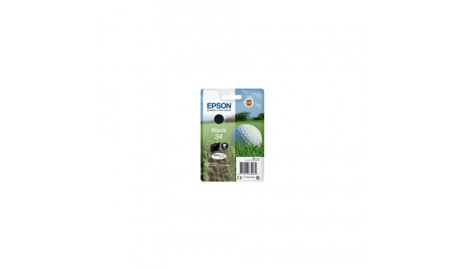 tint 34 C13T34614010 DURABrite Ultra, must