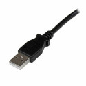 USB A - USB B Kaabel Startech USBAB2MR Must