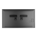 Televiisori Alus Neomounts WL30-265BL1 43" 60 Kg