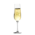 Champagne glass Inde Sensation Ø 5 cm 220 ml 6 Pieces