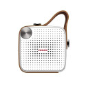 Aiwa BS-100GY White Grey