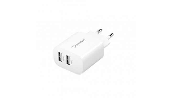 Intenso POWER ADAPTER 2x USB-A/7802412