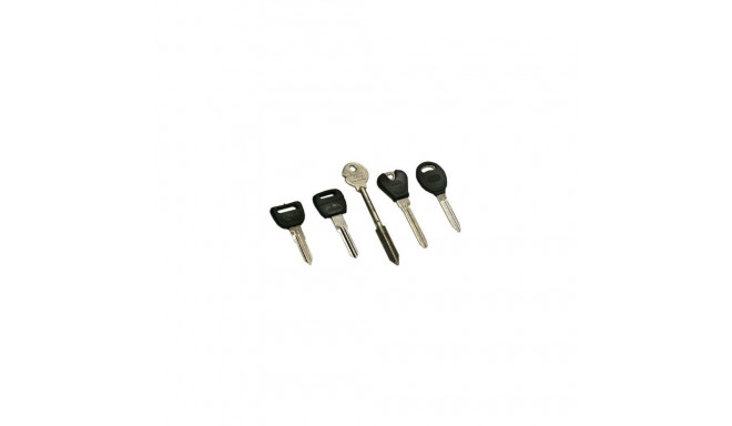 BLANK KEY CHR-15P (5)