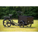 Elektriline kastiratas CARGOBIKE of SWEDEN Svensson Family