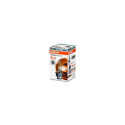 D4S Xenarc 35W P32d-5 1tk
