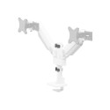 "Neomounts DS65S-950WH2 Tischhalterung für 2 Monitore bis 86cm 34"" 11KG Weiß"