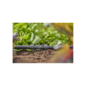 "Gardena MDS Verbinder 13 mm (1/2"") - Inhalt: 3 Stück"