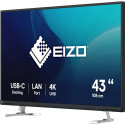 "EIZO 108cm (42.5"") EV4340X-BK 16:09 4K 2xHDMI+DP+USB-C IPS"
