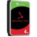 "4TB Seagate IronWolf Pro ST4000NT001 7200RPM 256MB"