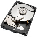 "4TB Seagate IronWolf Pro ST4000NT001 7200RPM 256MB"