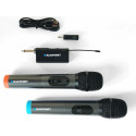 Microphone Blaupunkt WM60UDB