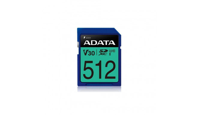 mälukaart SDXC PremierPro 512GB UHS-I U3 V30 100/80 MB/s