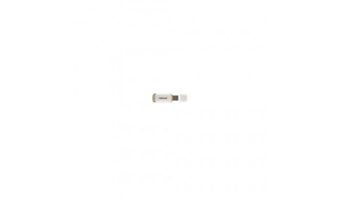 Intenso Green Line 128GB USB Stick 3.2 Gen 1