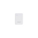 Intenso 7313522 5000 mAh liitium-polümeer valge