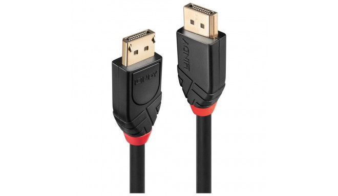 Lindy 10m aktiivne DisplayPort 1.2