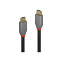 Lindy 1m USB 3.2 Type C to C kaabel 20Gbps 5A PD Anthra Line 4002888369015