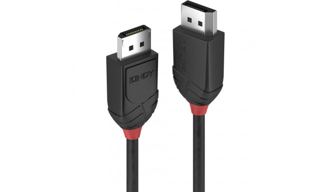 Lindy DisplayPort Kabel Black Line 2m