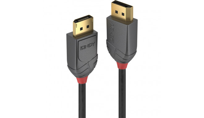 Lindy Anthra Line DisplayPort-kaabel DisplayPortist DisplayPorti 2 m