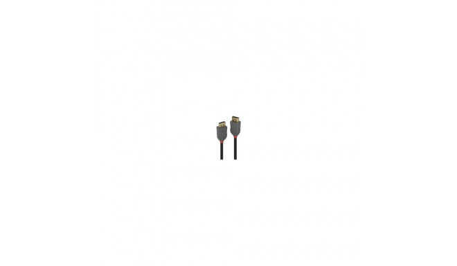 Lindy DisplayPort kaabel Anthra Line 1 m