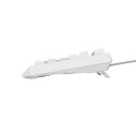 GENESIS Thor 230 TKL klaviatuur mängimine USB + RF juhtmevaba + Bluetooth QWERTY valge