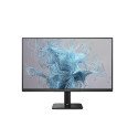Monitor 24E2N1100LB VA 100Hz HDMI VGA